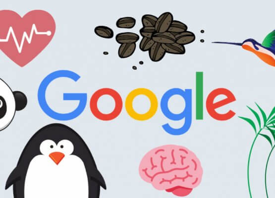 Google算法