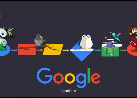 最大的谷歌算法更新